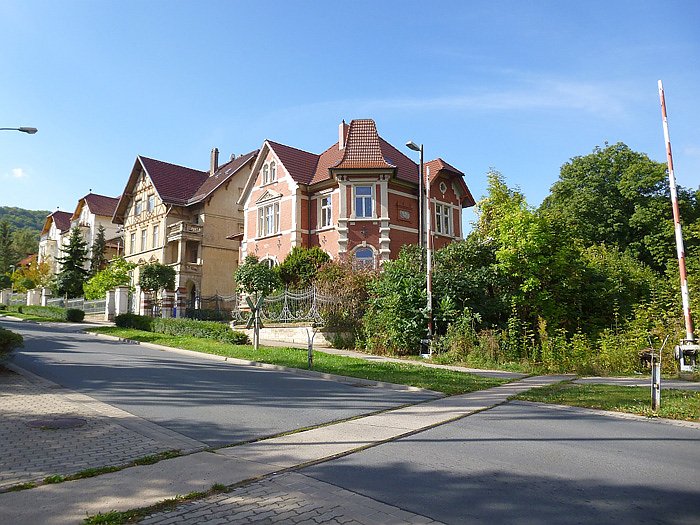 S&uuml;dbahnhof- Naturgartenanlage?