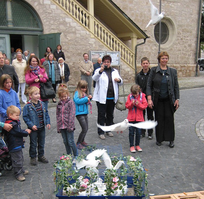 Friedenstauben im Flug 