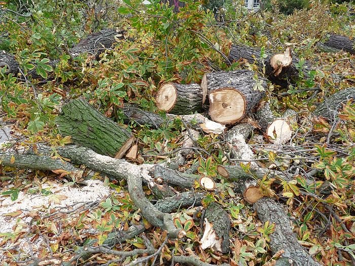 Keine Meldung warum!