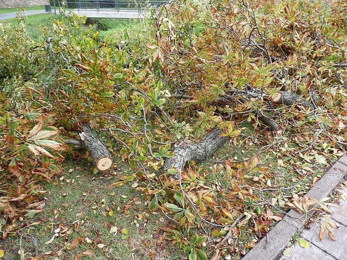 Keine Meldung warum!