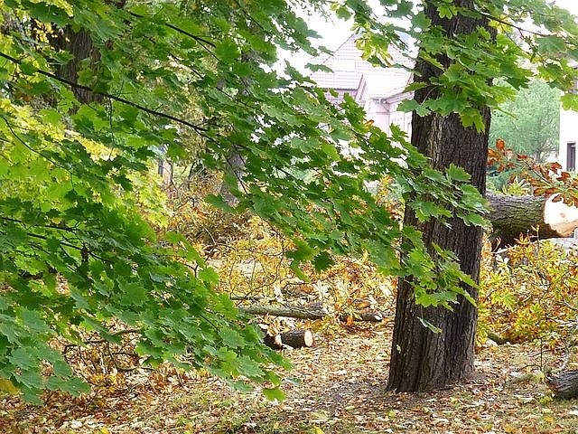 Leser sehen es auch so!