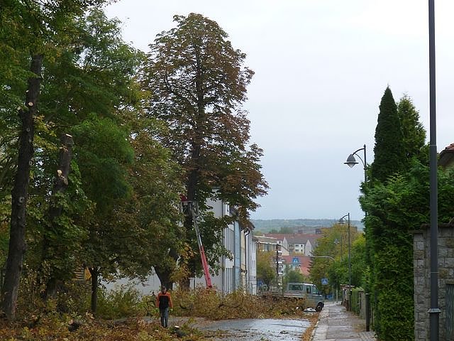 Leser sehen es auch so!