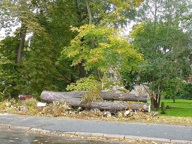 Leser sehen es auch so!