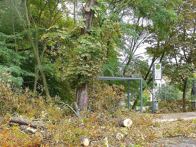 Leser sehen es auch so!