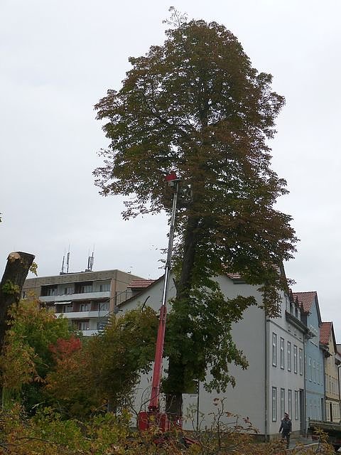 Leser sehen es auch so!