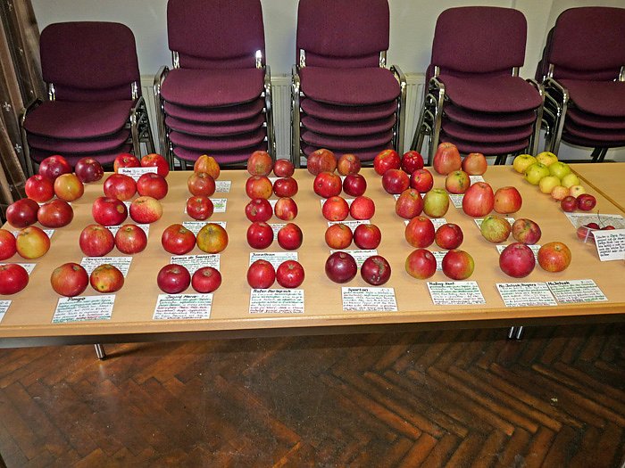 Was f&uuml;r ein Andrang