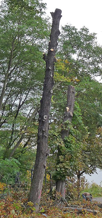 kn-Kommentar: Augen zu und durch?