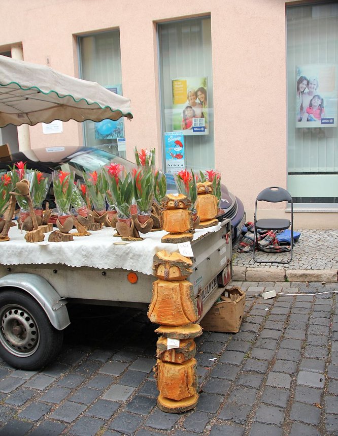 Besuch auf dem Zwiebelmarkt