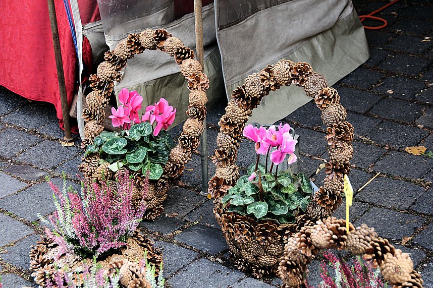 Besuch auf dem Zwiebelmarkt