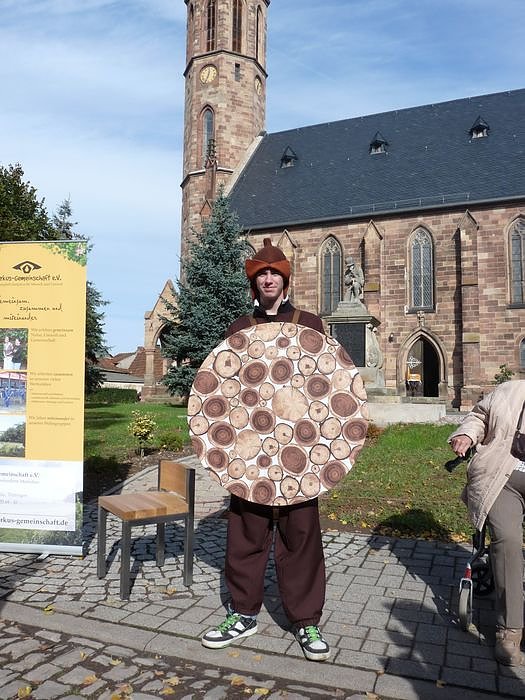 Im Zeichen des Holzes