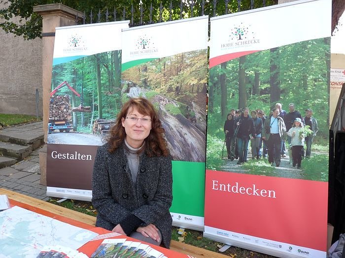 Im Zeichen des Holzes