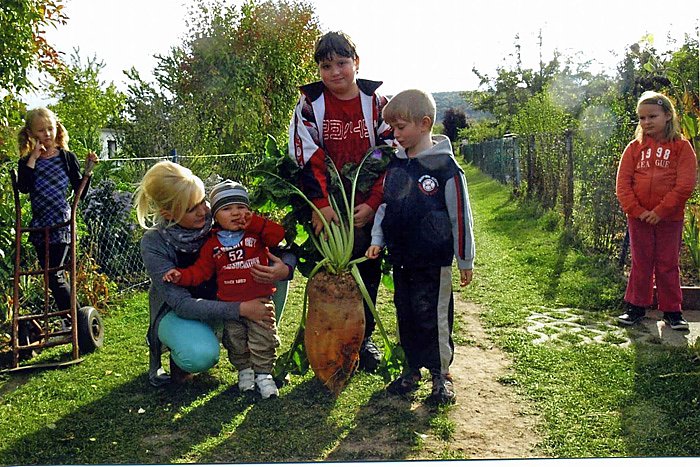 Herbstzeit - Erntezeit