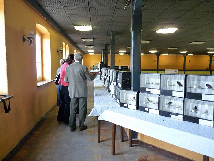 Zwei Titel nach Sondershausen