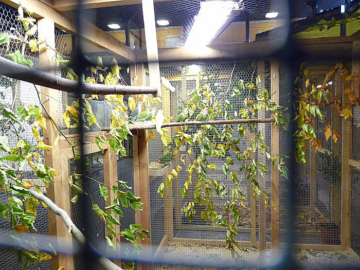 Zwei Titel nach Sondershausen