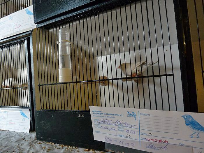 Zwei Titel nach Sondershausen