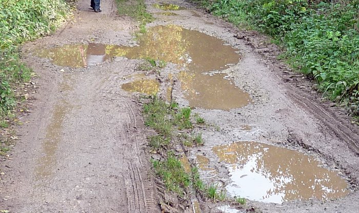 Den Kranichen gefolgt