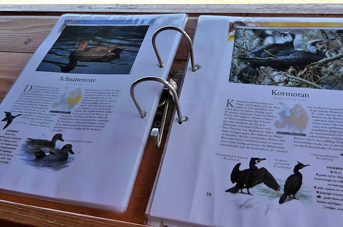 Den Kranichen gefolgt