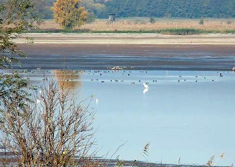 Den Kranichen gefolgt (2)