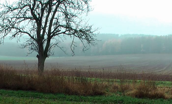 Erst gef&ouml;rdert und dann?