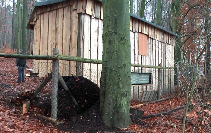 Erst gef&ouml;rdert und dann?