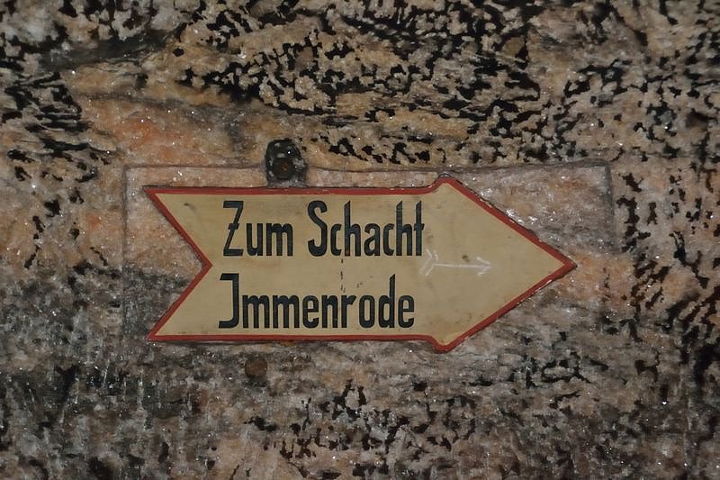 F&uuml;r die Ewigkeit konserviert