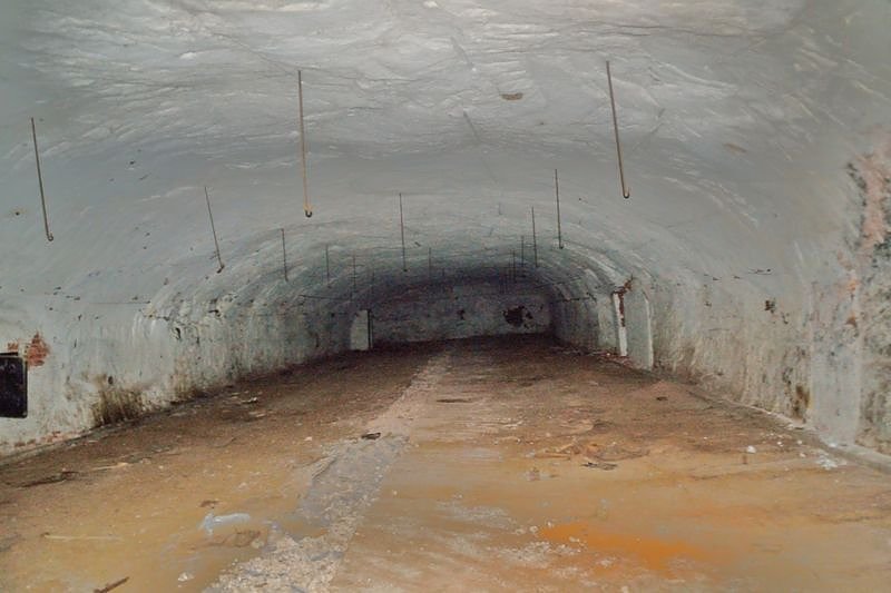 F&uuml;r die Ewigkeit konserviert