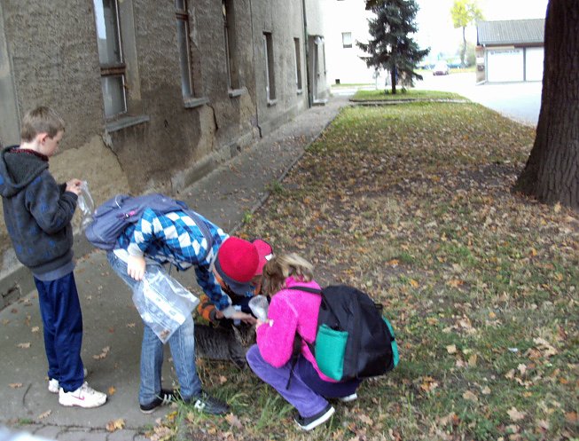 Buntgemischte Herbstferien..