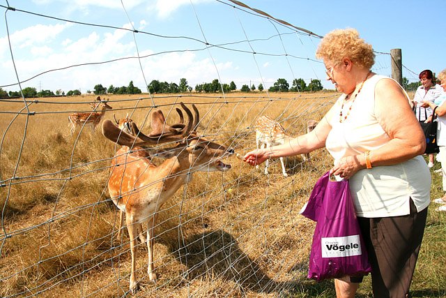 Alterskameraden Feuerwehrverband Sondershausen