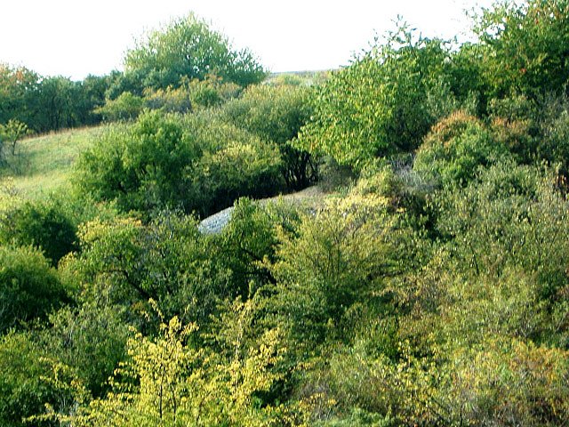 Kupferschieferbergbau Bottendorf