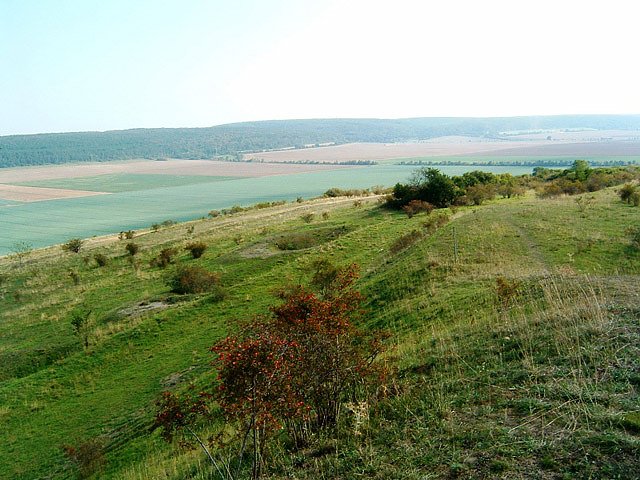 Kupferschieferbergbau Bottendorf
