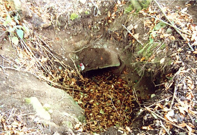 Kupferschieferbergbau Bottendorf