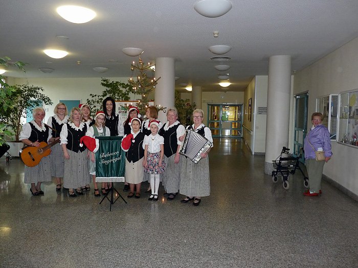 Bebraer Singv&ouml;gel im Krankenhaus