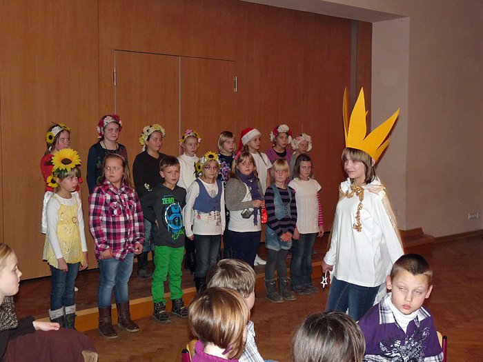 Der wundersame Stern