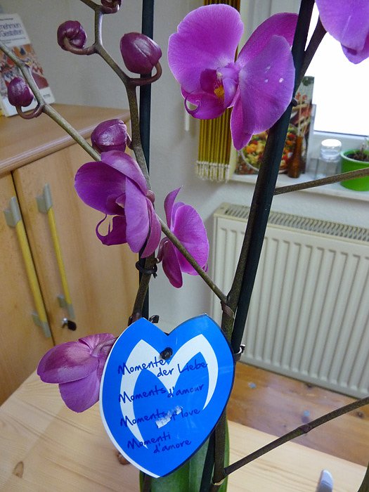 St&auml;ndchen f&uuml;r die D&uuml;ne