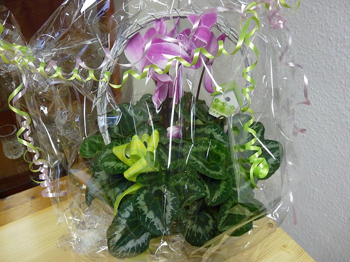 St&auml;ndchen f&uuml;r die D&uuml;ne