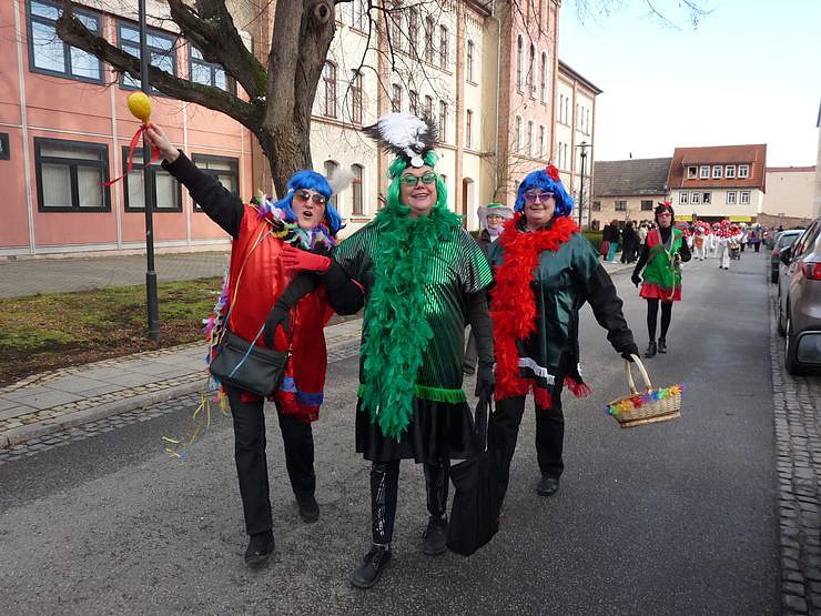 Narrenumzug in Frankenhusen