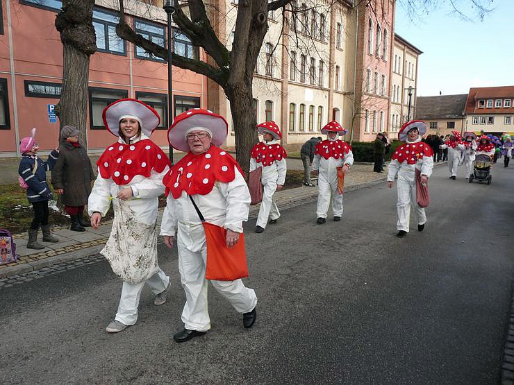 Narrenumzug in Frankenhusen