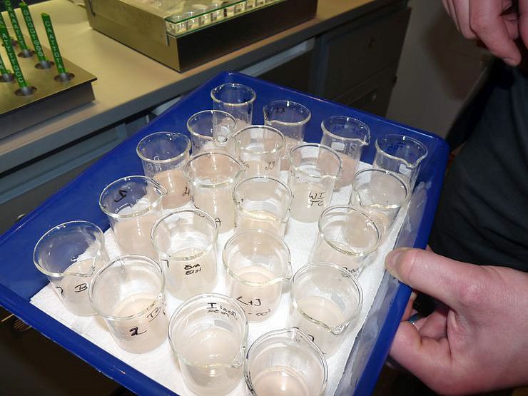 Spannendes BIOTechnikum