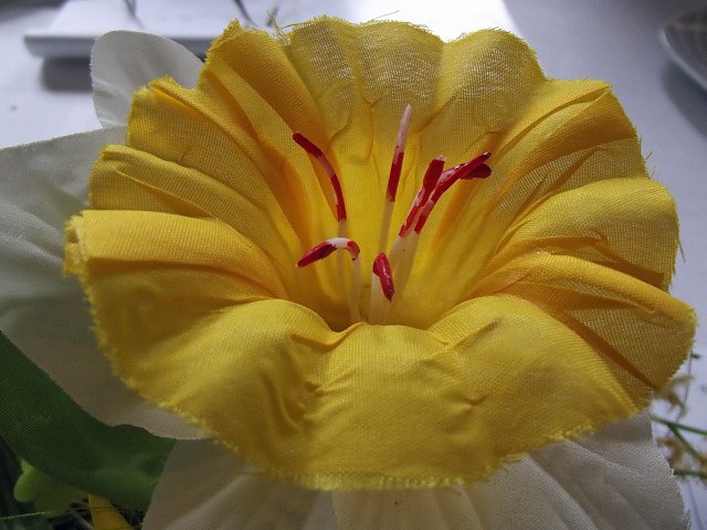 Sau-Hatz und andere Schwarzburger Geschichten