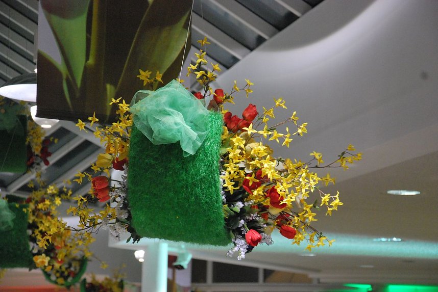 Fr&uuml;hling im "Ballhaus Peter"