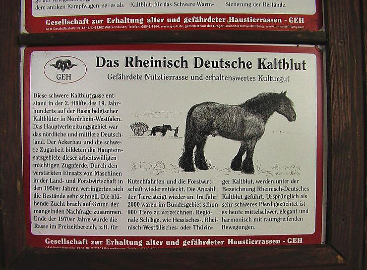 Besuch auf Arche- Rh&ouml;nschafhof