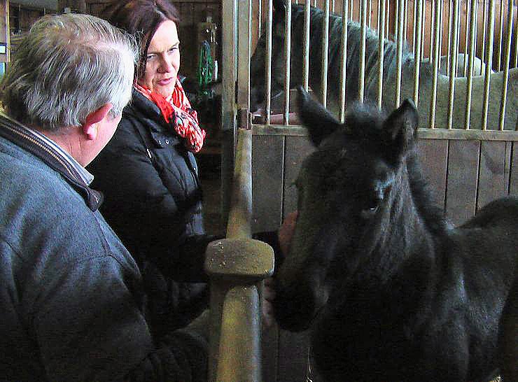 Besuch auf Arche- Rh&ouml;nschafhof