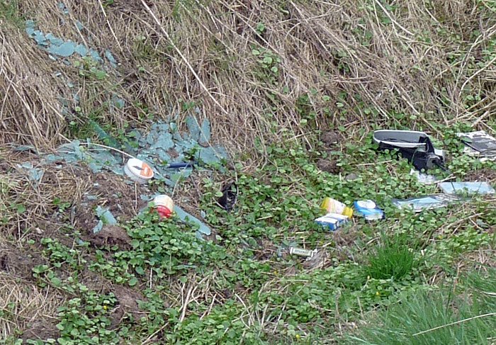 Armes F&uuml;chslein