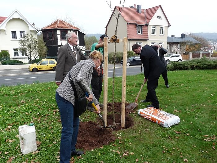 Der besondere Apfelbaum