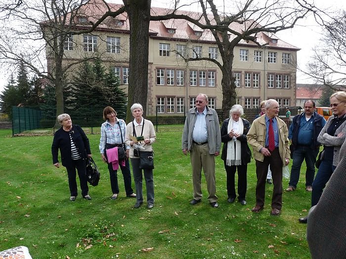 Der besondere Apfelbaum