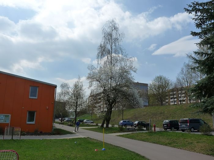 Gef&auml;hrliche Nachbarschaft