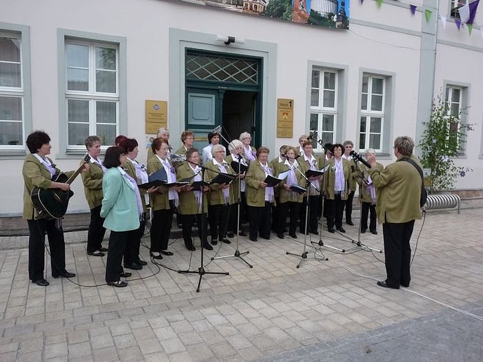 Fliederkrone gesetzt