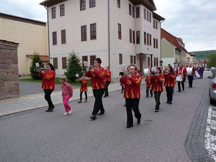 Fliederkrone gesetzt
