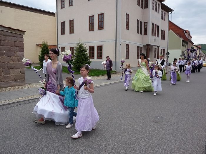 Fliederkrone gesetzt