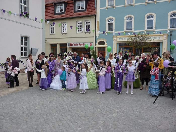 Fliederkrone gesetzt